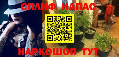молекула духа Краснодар