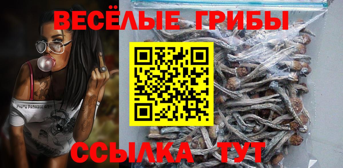 Псилоцибиновые грибы ЛСД Кизилюрт
